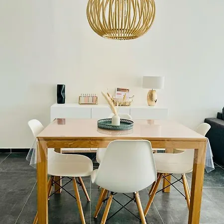 Apartament Plein Centre