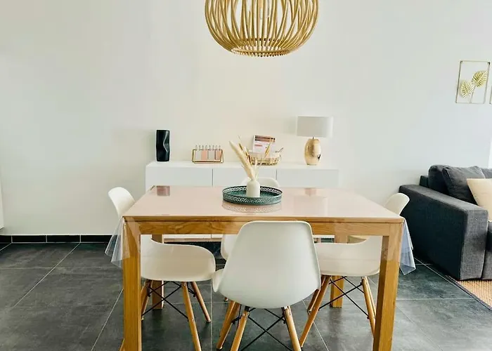 Apartament Plein Centre